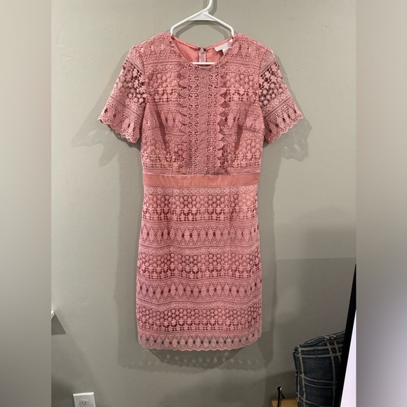 Rachel Parcell Lace bodice velvet waist lined midi sheath dress in medium - Picture 2 of 6